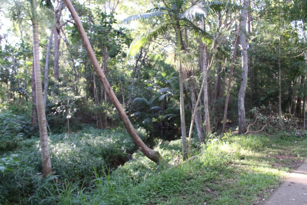 Paperbark Bed & Breakfast Brisbane Extérieur photo